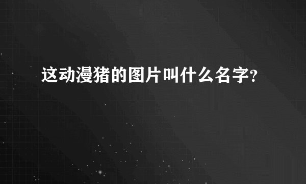 这动漫猪的图片叫什么名字？