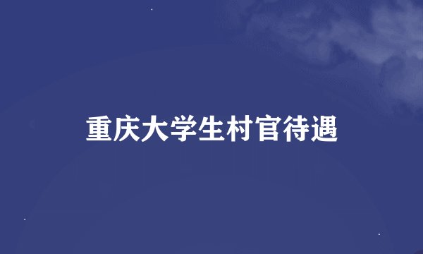 重庆大学生村官待遇