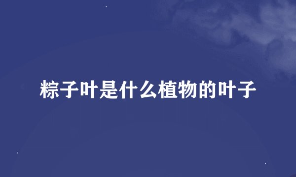 粽子叶是什么植物的叶子
