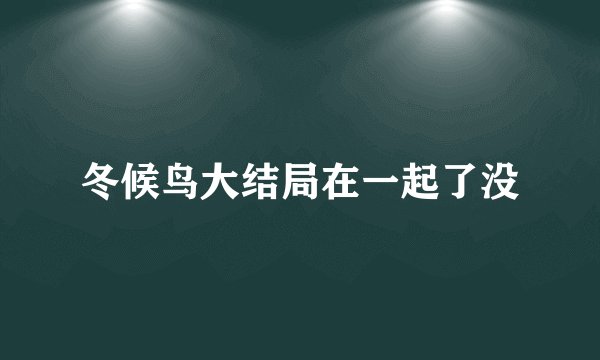冬候鸟大结局在一起了没
