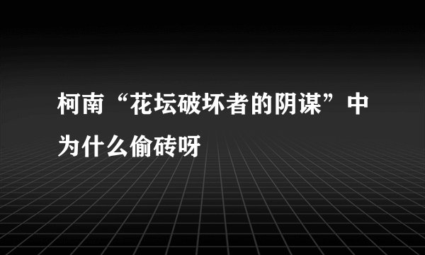 柯南“花坛破坏者的阴谋”中为什么偷砖呀