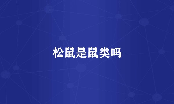 松鼠是鼠类吗