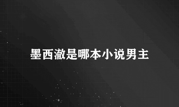 墨西澈是哪本小说男主