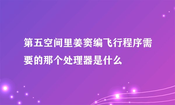 第五空间里姜窦编飞行程序需要的那个处理器是什么