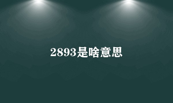 2893是啥意思
