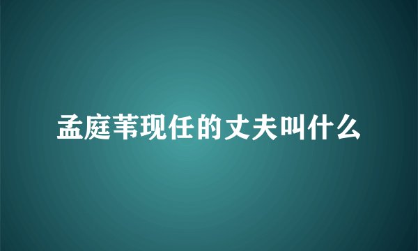 孟庭苇现任的丈夫叫什么