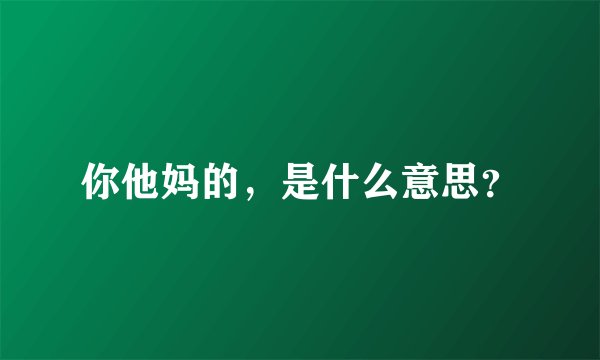 你他妈的，是什么意思？