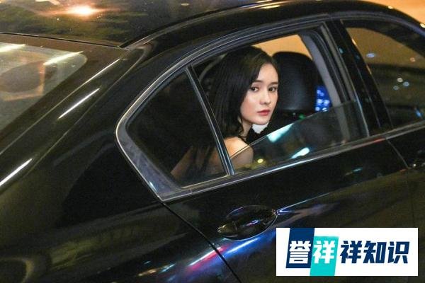 《北京女子图鉴之整容大师》定档319 艾如励志打拼与董璇闺蜜情深