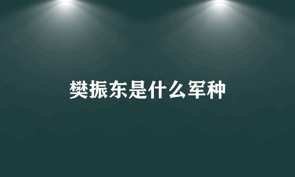 樊振东是什么军种