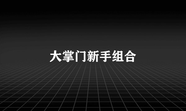 大掌门新手组合