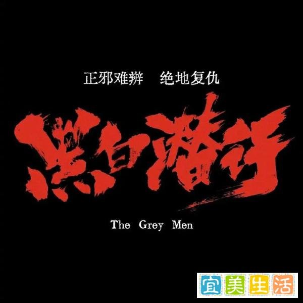 《黑白潜行》警校生深入虎穴,犯罪集团风云再起身份揭秘命悬一线由安志杰、曾志伟担任主演
