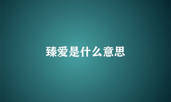 臻爱是什么意思