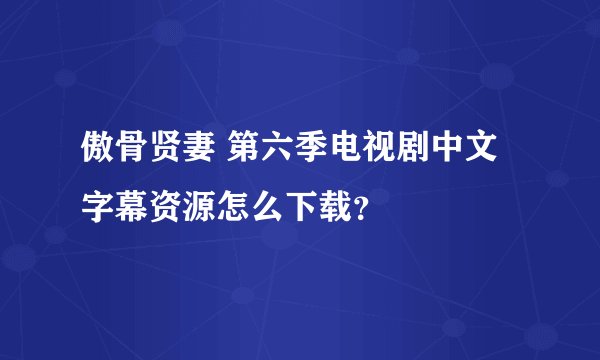 傲骨贤妻 第六季电视剧中文字幕资源怎么下载？