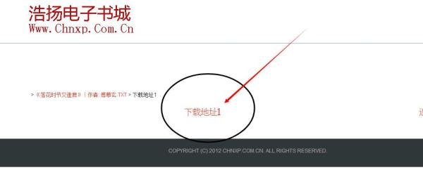 怎么下载小说的txt文档
