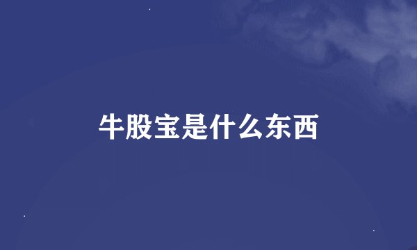 牛股宝是什么东西