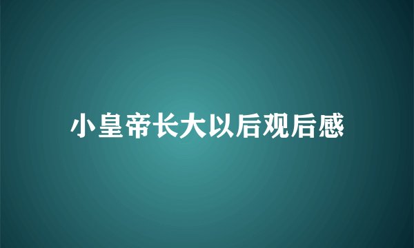 小皇帝长大以后观后感