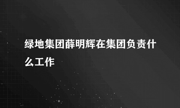 绿地集团薛明辉在集团负责什么工作