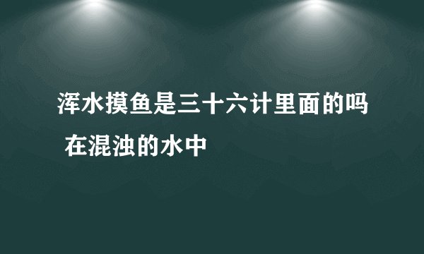 浑水摸鱼是三十六计里面的吗 在混浊的水中