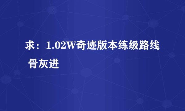求：1.02W奇迹版本练级路线 骨灰进