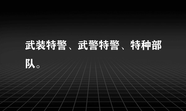 武装特警、武警特警、特种部队。