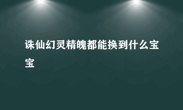 诛仙幻灵精魄都能换到什么宝宝