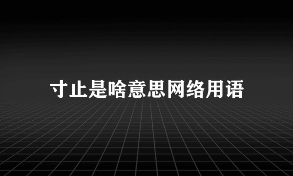 寸止是啥意思网络用语