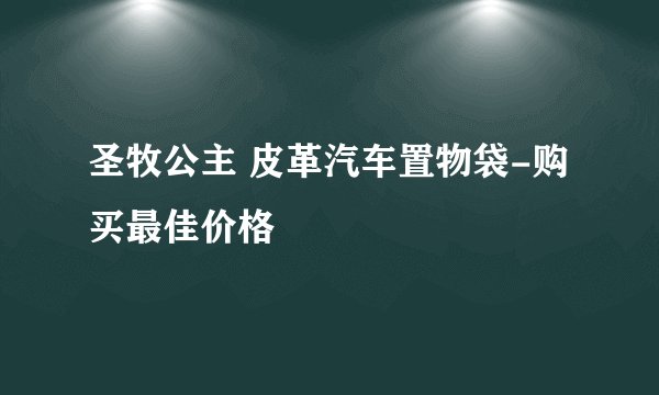 圣牧公主 皮革汽车置物袋-购买最佳价格
