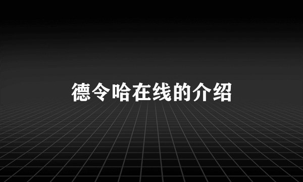 德令哈在线的介绍