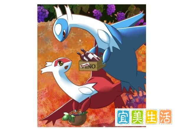 口袋妖怪黑白2神兽捕捉