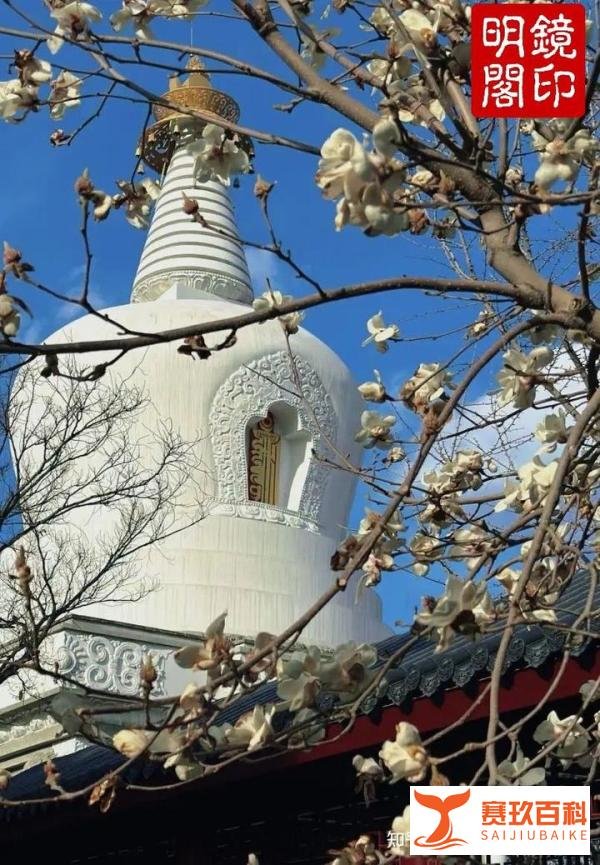 尘世万象,阴阳和合之理——风水命理师王镜海