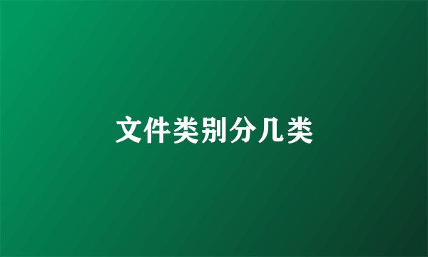 文件类别分几类