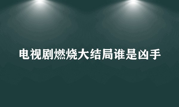 电视剧燃烧大结局谁是凶手