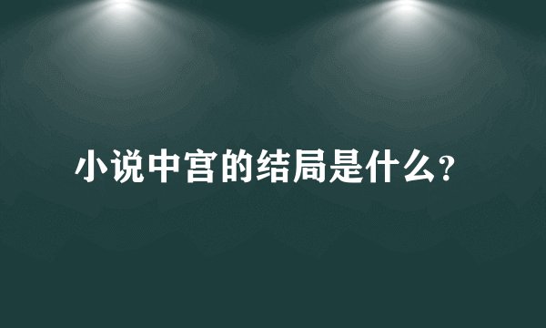 小说中宫的结局是什么？