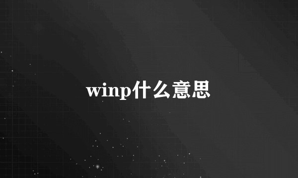 winp什么意思