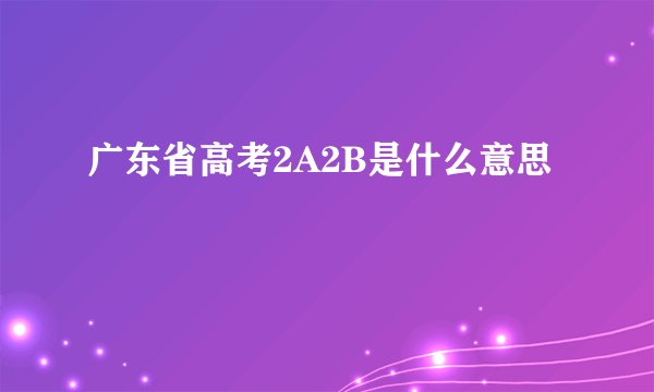广东省高考2A2B是什么意思