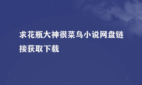 求花瓶大神很菜鸟小说网盘链接获取下载