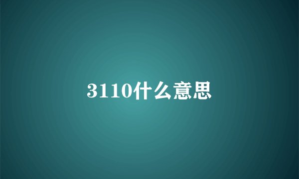 3110什么意思