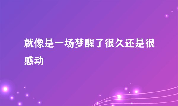 就像是一场梦醒了很久还是很感动