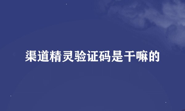 渠道精灵验证码是干嘛的