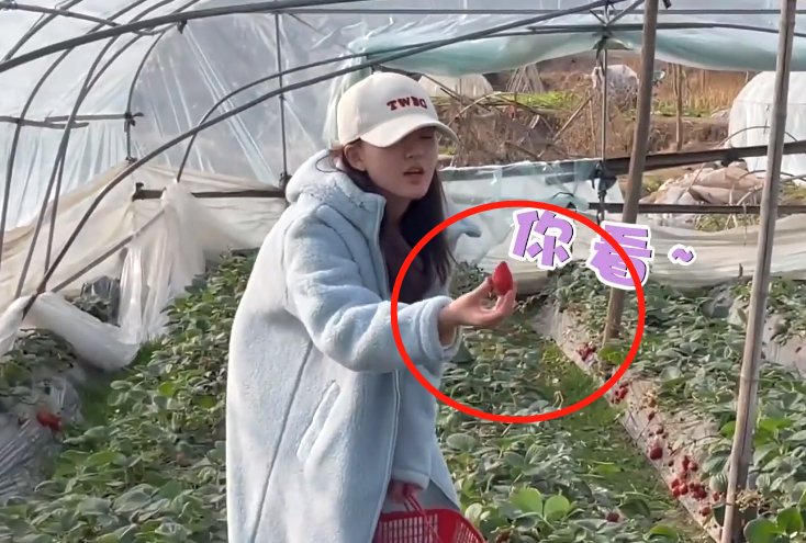 赵露思脱鞋吃草莓,谁看到她袜子的颜色了?网友直呼:“确定这是女明星?”