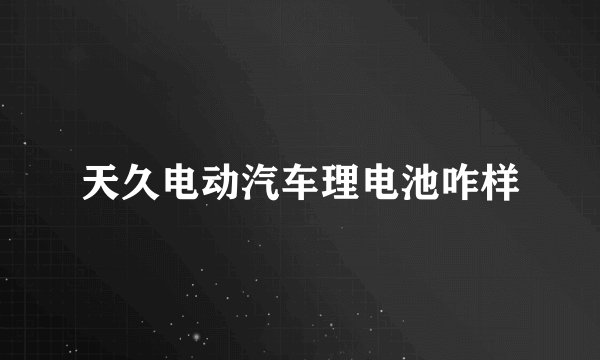 天久电动汽车理电池咋样