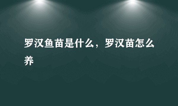 罗汉鱼苗是什么，罗汉苗怎么养