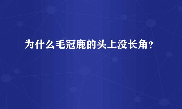 为什么毛冠鹿的头上没长角？