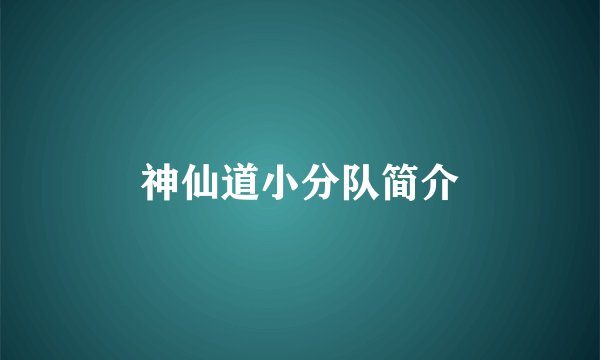 神仙道小分队简介