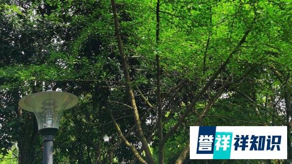 2024年南方电网笔试是怎么考的？