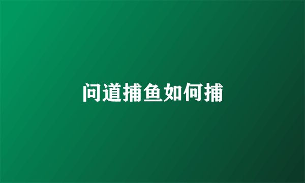 问道捕鱼如何捕