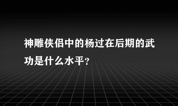 神雕侠侣中的杨过在后期的武功是什么水平？