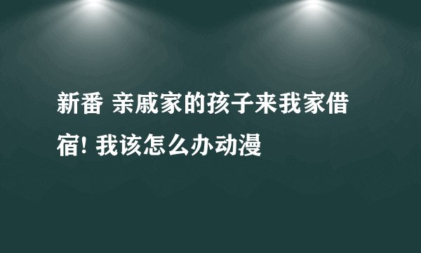 新番 亲戚家的孩子来我家借宿! 我该怎么办动漫