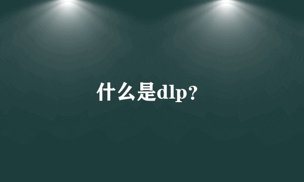 什么是dlp？