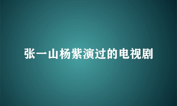 张一山杨紫演过的电视剧